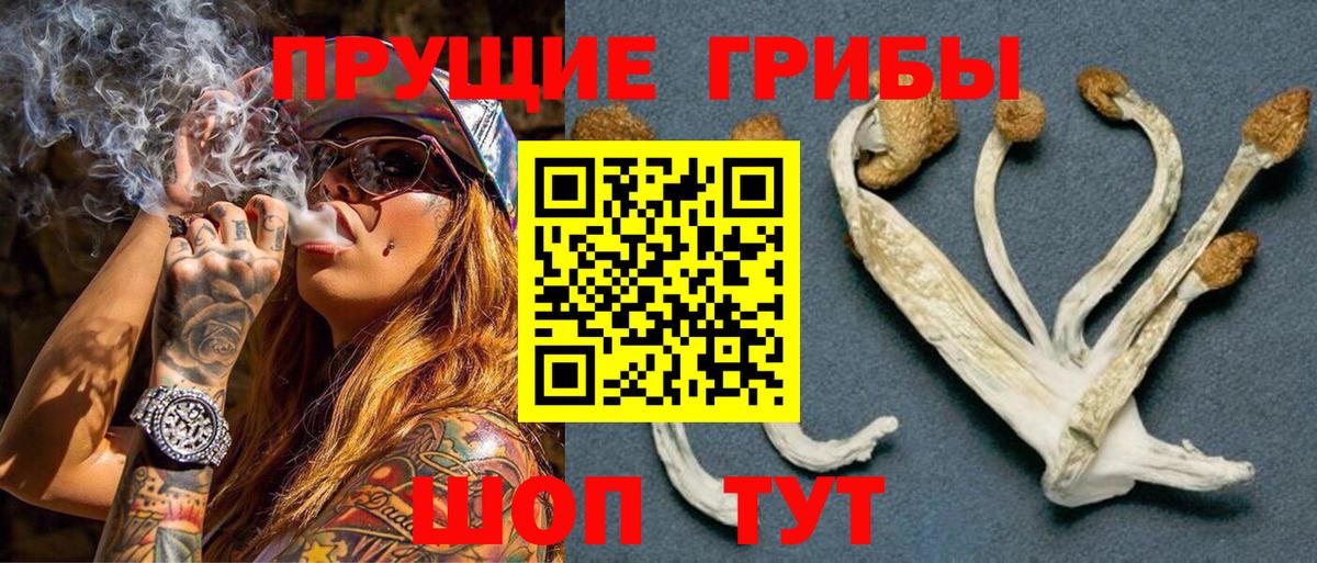 Галлюциногенные грибы GOLDEN TEACHER Новотроицк