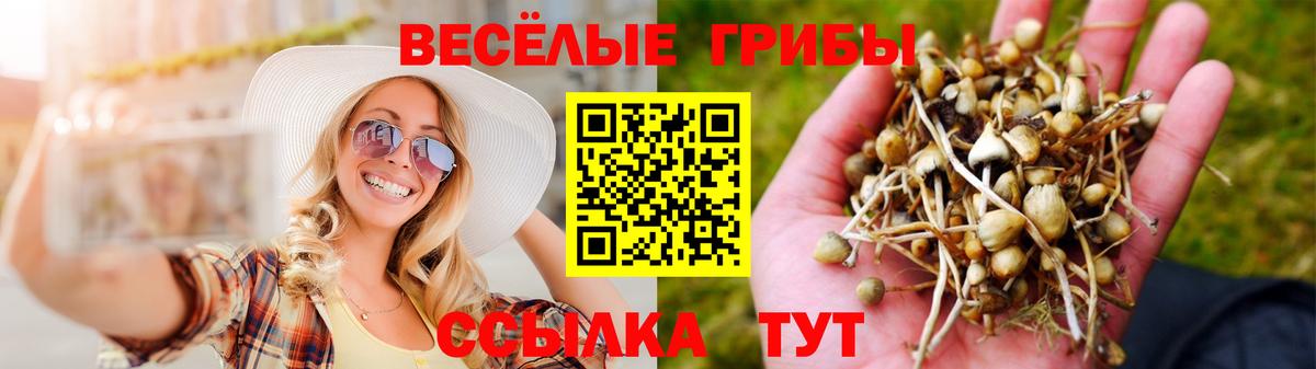 даркнет сайт  Псилоцибиновые грибы ЛСД  Новотроицк  Вход с VPN  Галлюциногенные грибы мицелий 